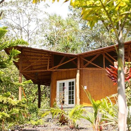Vila Kalani Oceanside Retreat Pahoa Exteriér fotografie