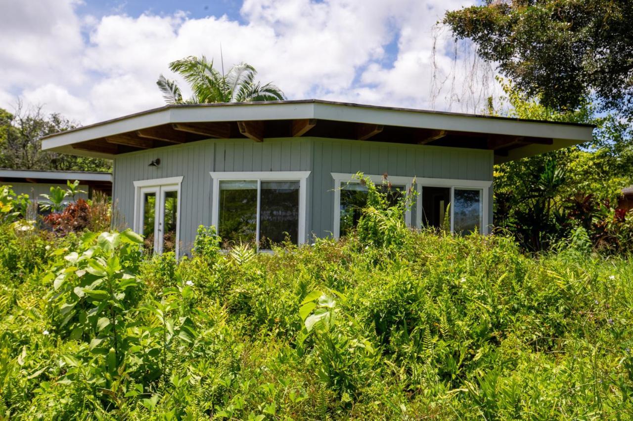 Vila Kalani Oceanside Retreat Pahoa Exteriér fotografie