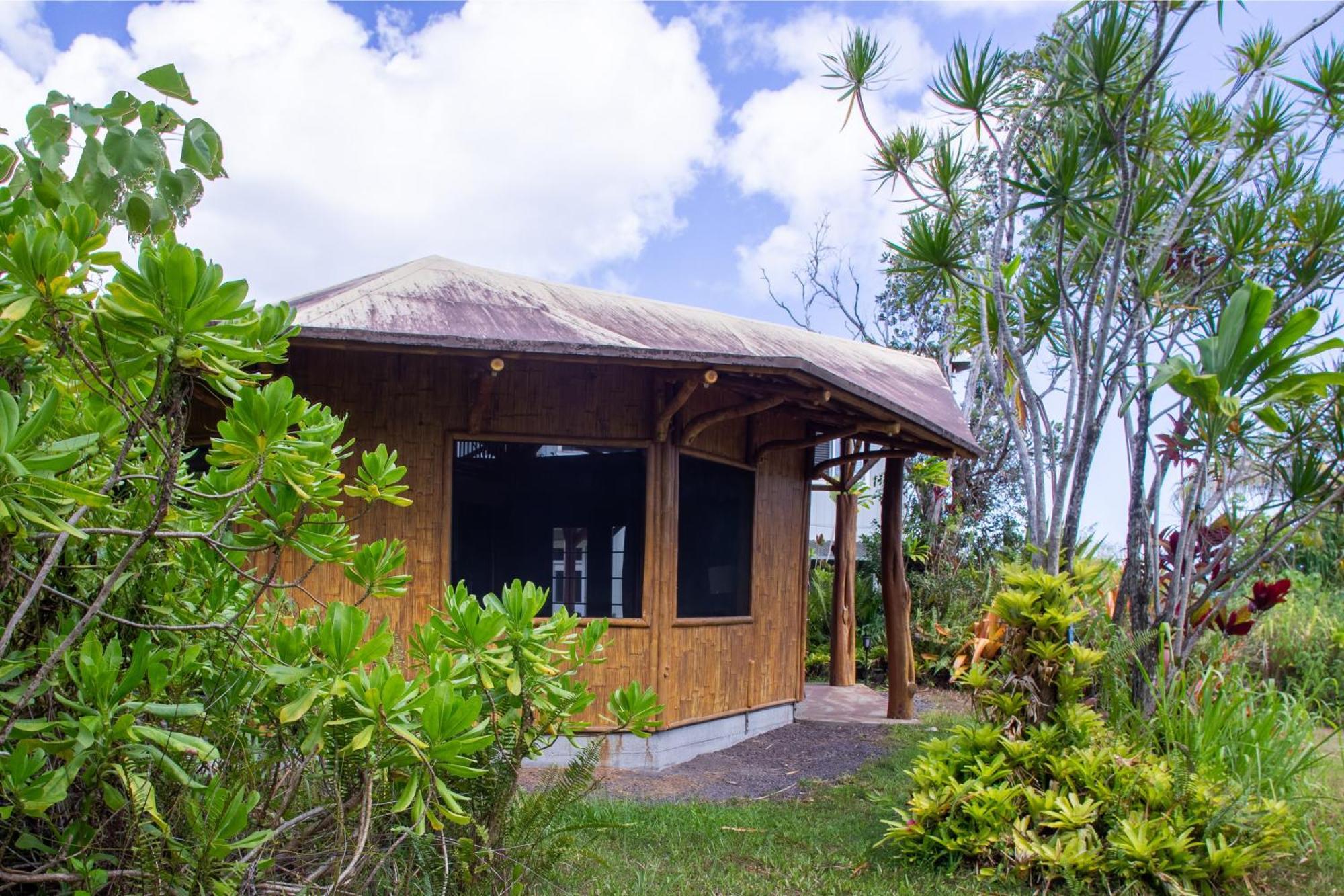 Vila Kalani Oceanside Retreat Pahoa Exteriér fotografie